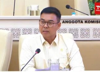 Rycko Menoza dan Akademisi Soroti Batas Usia JPT Pratama, Sistem Merit Dinilai Harus Jadi Acuan Utama
