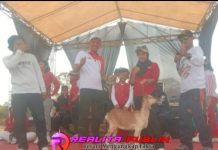 Warga Antusias Meriahkan HUT ke-81 RI, Tiyuh Sumber Rejo Gelar Senam Bersama dan Jalan Sehat