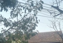 Elly Wahyuni Himbau Masyarakat untuk Meningkatkan Kewaspadaan dan Menggunakan Masker