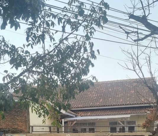 Elly Wahyuni Himbau Masyarakat untuk Meningkatkan Kewaspadaan dan Menggunakan Masker