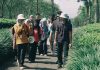 Wonosari Hadirkan Wisata Edukasi dari Kebun ke Cangkir