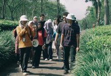 Wonosari Hadirkan Wisata Edukasi dari Kebun ke Cangkir