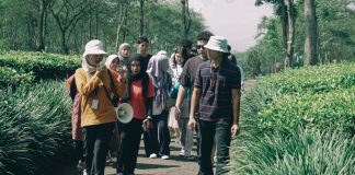 Wonosari Hadirkan Wisata Edukasi dari Kebun ke Cangkir