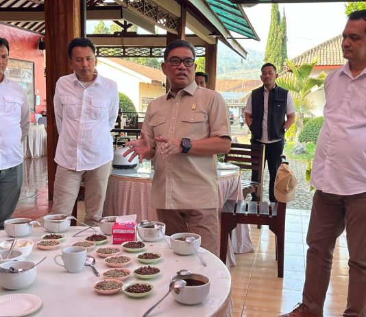 PTPN I Perkuat Hilirisasi Kopi Ijen, Bidik Nilai Tambah dan Pasar Ekspor